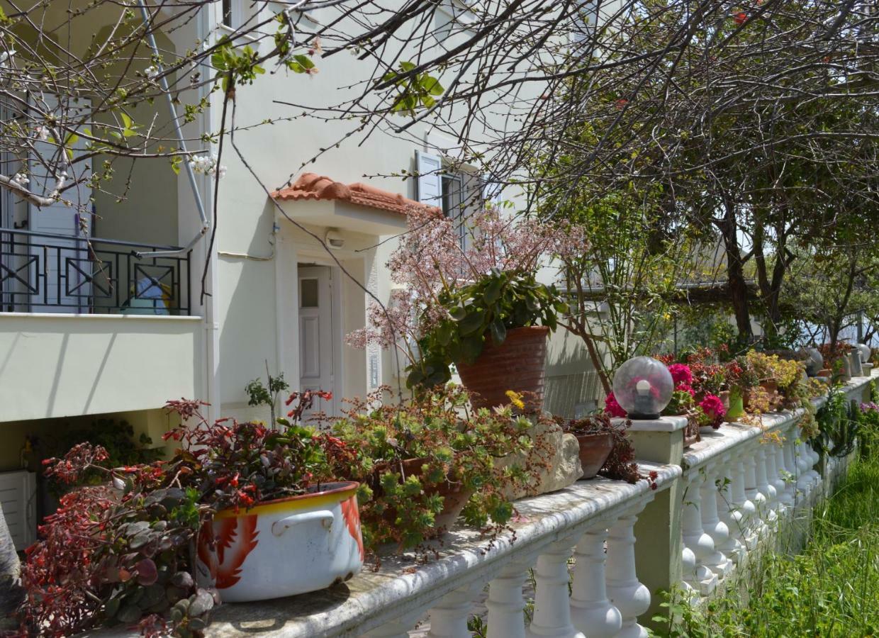 Araucaria Home ليكسوري المظهر الخارجي الصورة