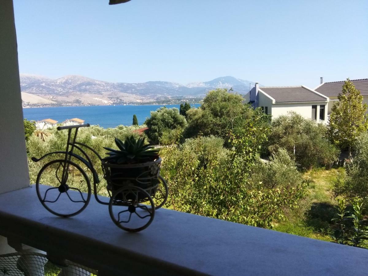 Araucaria Home ليكسوري المظهر الخارجي الصورة
